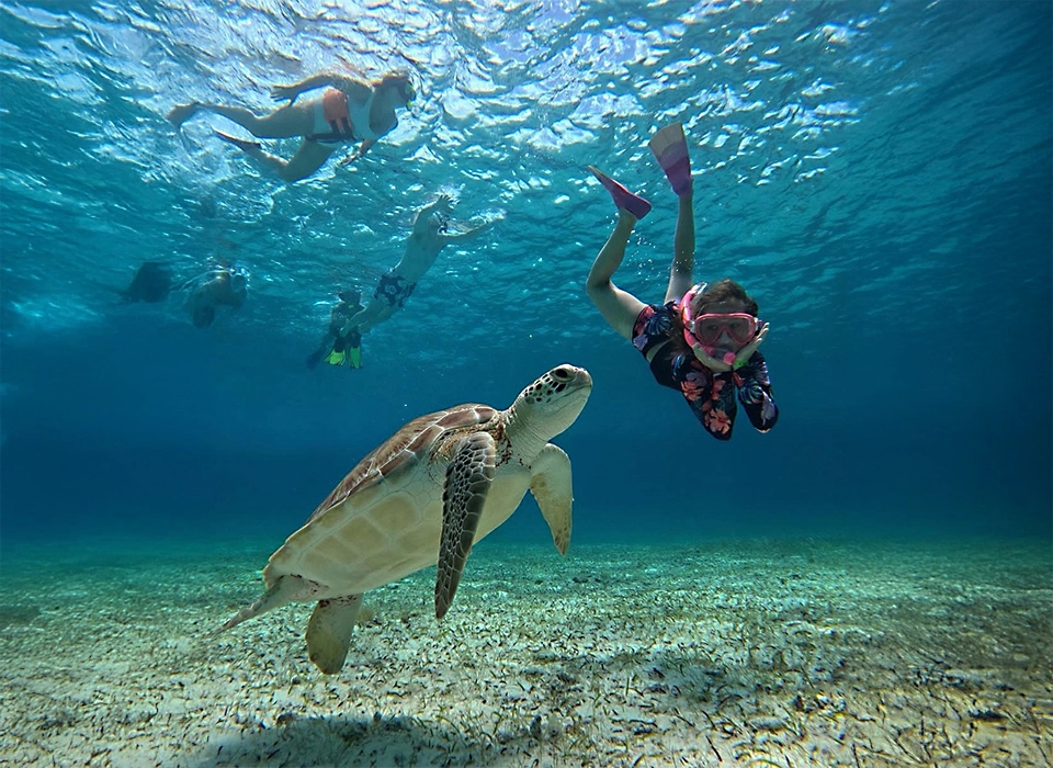 Snorkel Tortugas