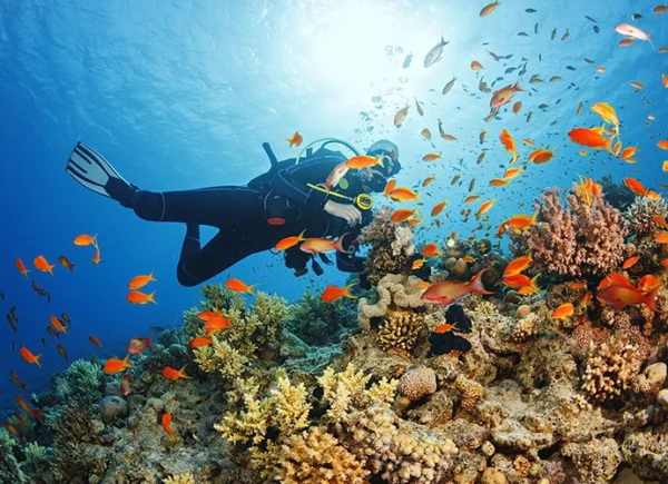 Discover Scuba Cozumel 1