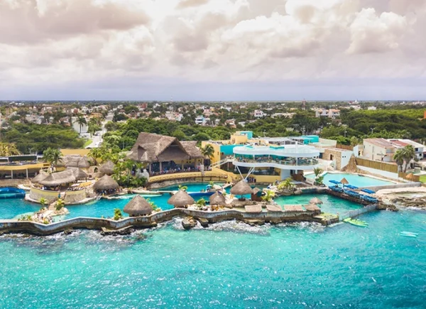 Nado con Delfines en Cozumel 10